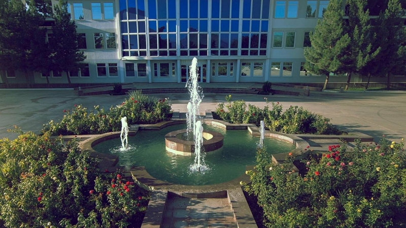 Посол России в Кабуле рассказал о диалоге с талибами